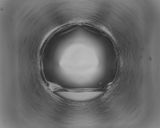X0000071811124200607211705