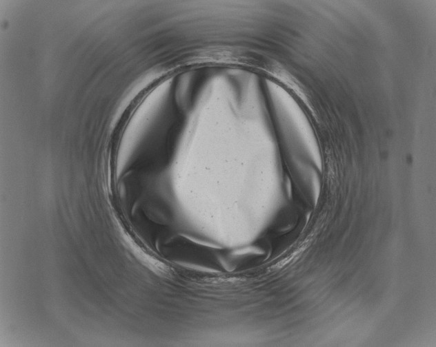 X0000071811131200607211705