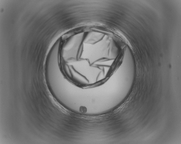 X0000071811132200607211705