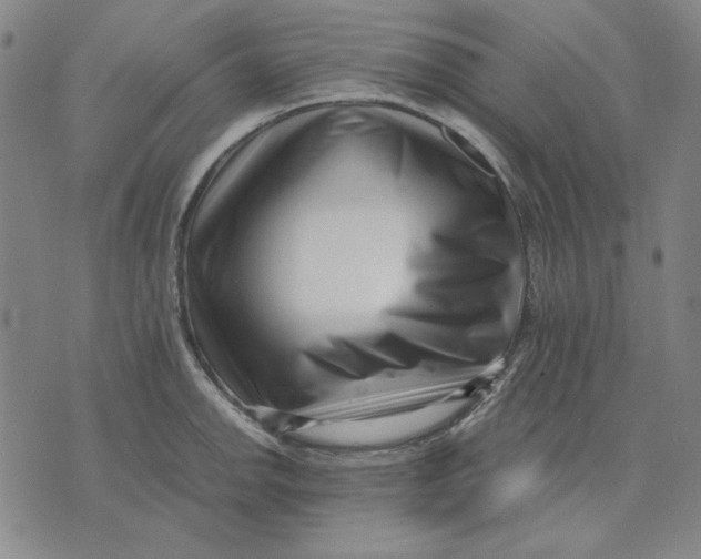 X0000071811142200607211705