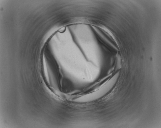 X0000071811147200607211705