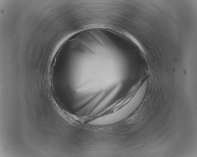 X0000071811148200607211705