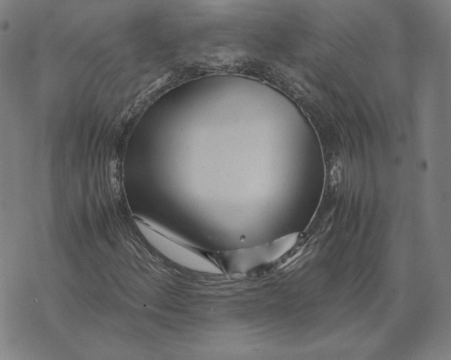 X0000071811156200607211705
