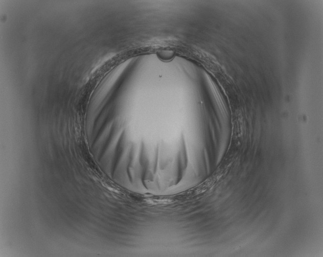 X0000071811158200607211704