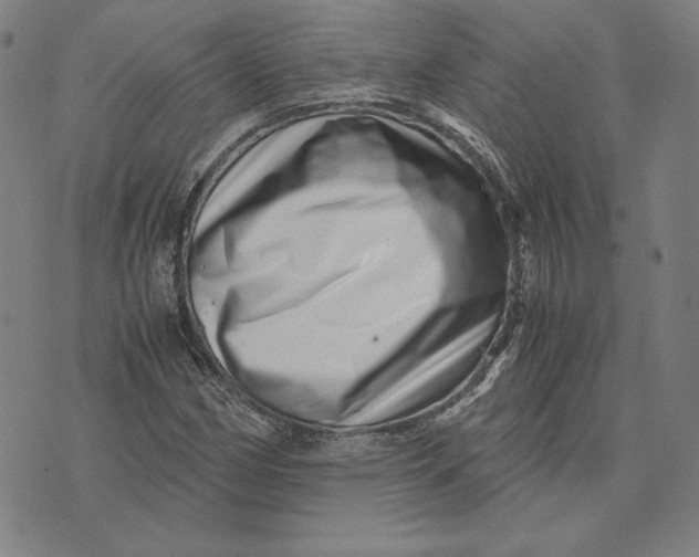 X0000071811162200607211704