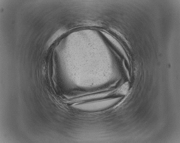 X0000071811163200607211704
