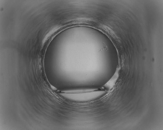 X0000071811164200607211704