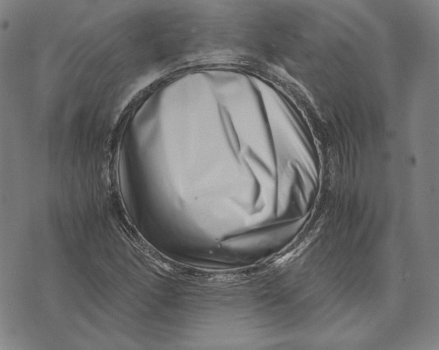 X0000071811166200607211704