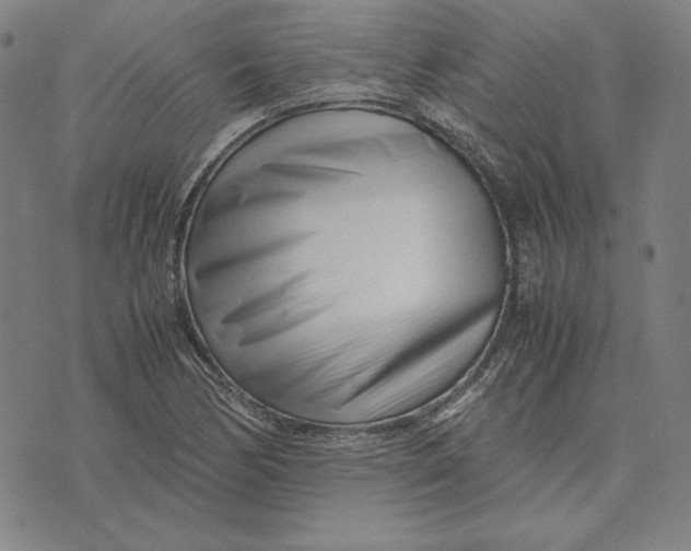 X0000071811170200607211704