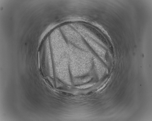 X0000071811175200607211704