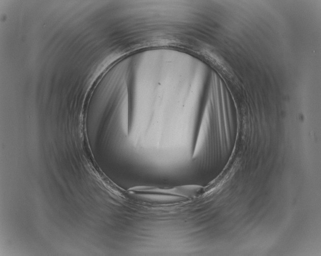 X0000071811178200607211704