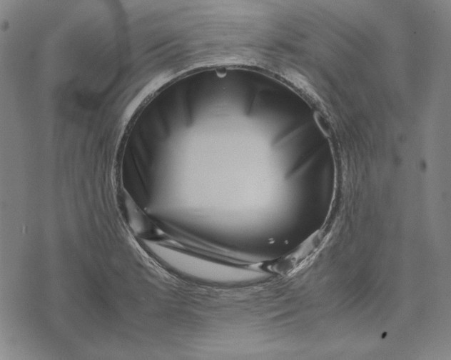 X0000071811181200607211704