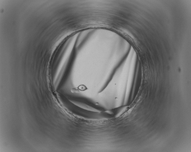 X0000071811182200607211704