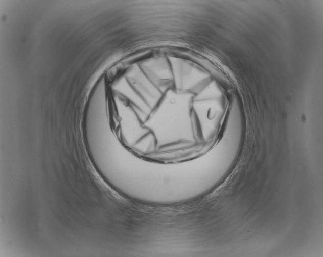 X0000071811189200607211704