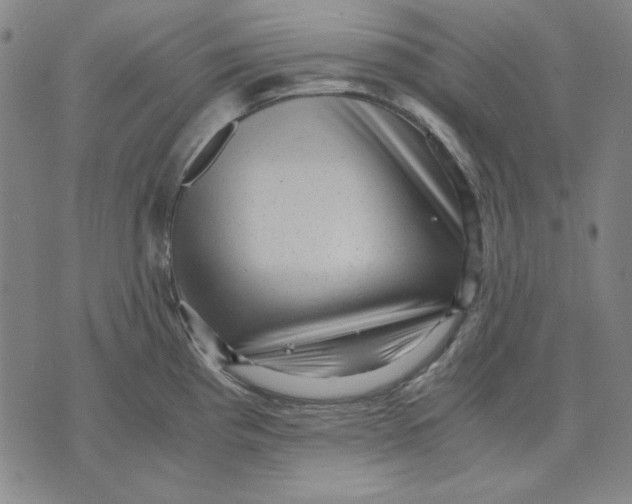 X0000071811193200607211704