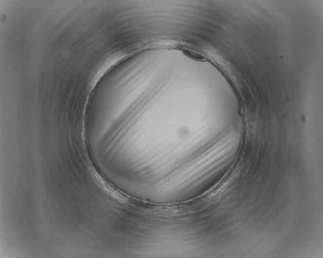 X0000071811194200607211704
