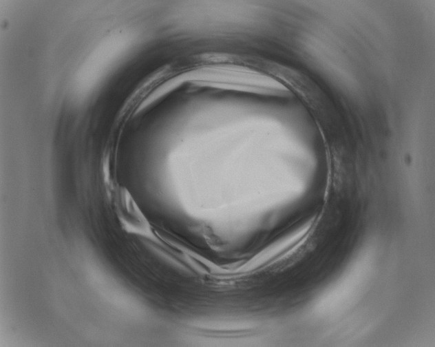 X0000071811198200607211704