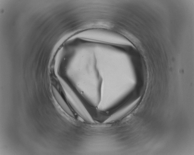 X0000071811200200607211704