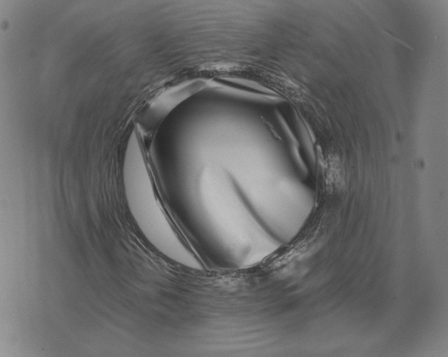 X0000071811202200607211703