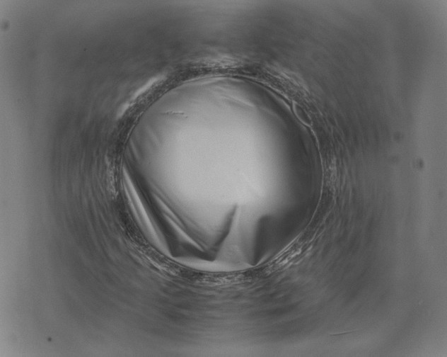 X0000071811205200607211703