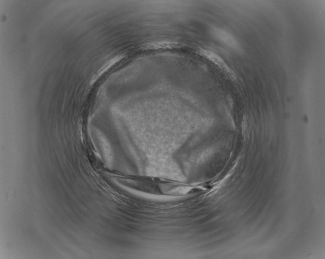 X0000071811209200607211703