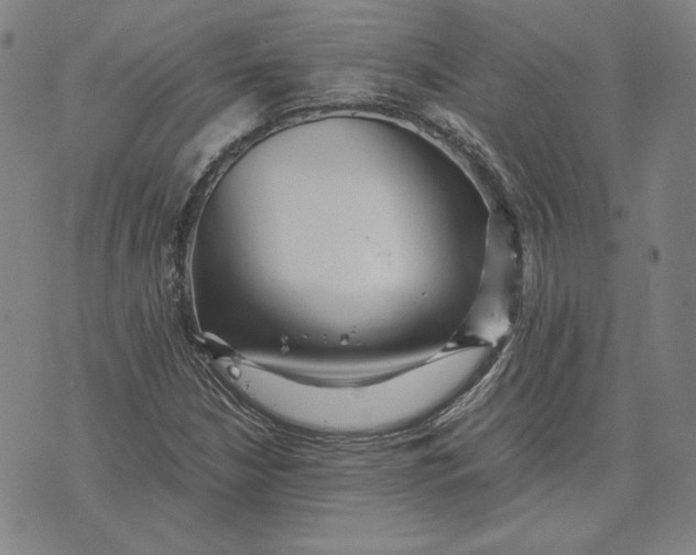 X0000071811210200607211703