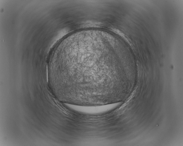 X0000071811219200607211703