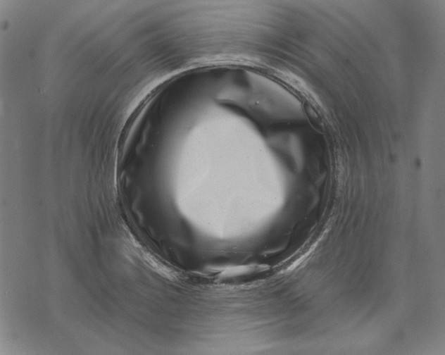 X0000071811228200607211703