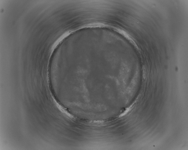 X0000071811229200607211703