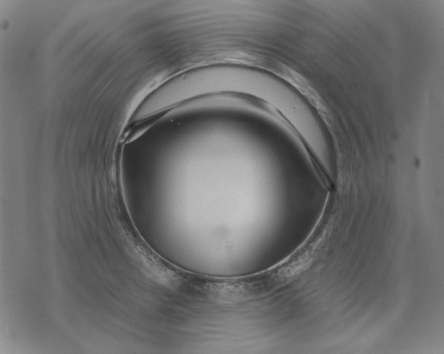 X0000071811234200607211704