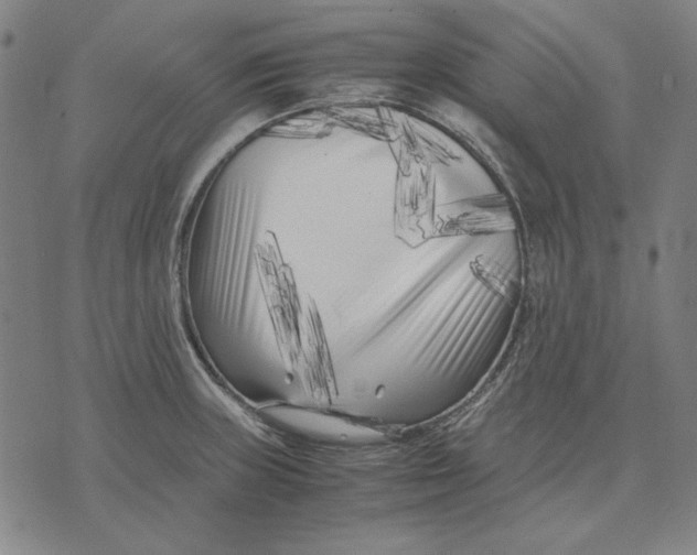 X0000071811235200607211704