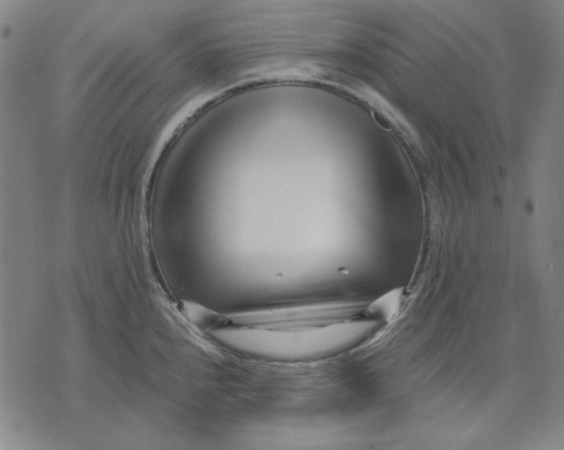 X0000071811240200607211704