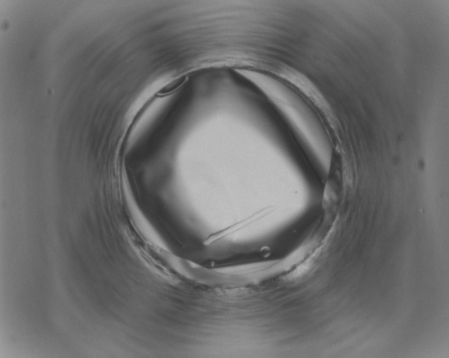 X0000071811242200607211704
