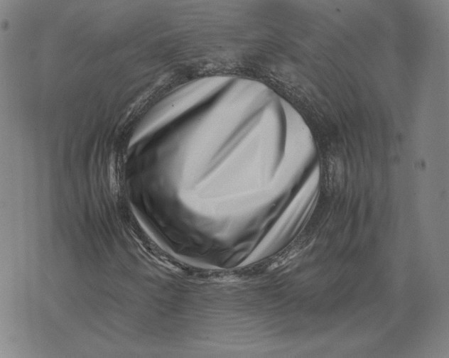 X0000071811250200607211703