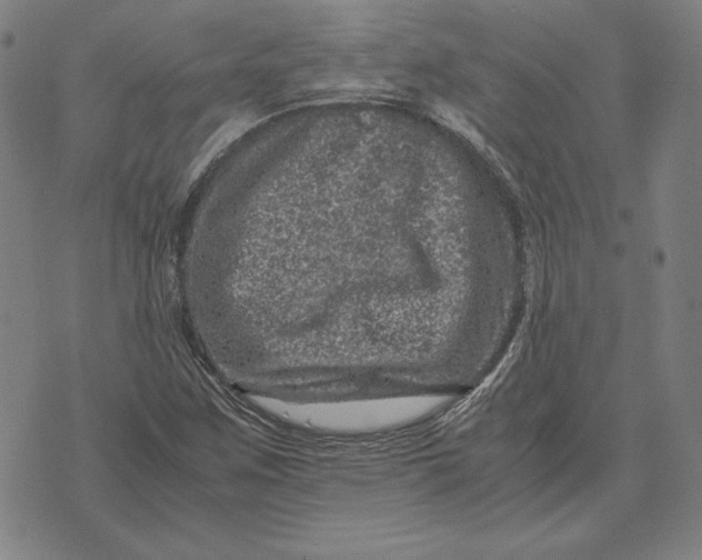 X0000071811259200607211703