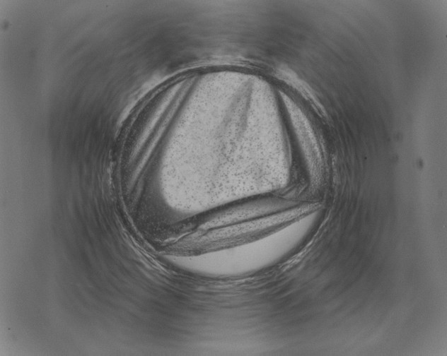 X0000071811260200607211703