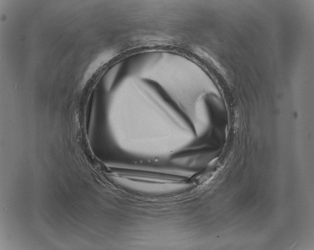 X0000071811261200607211703