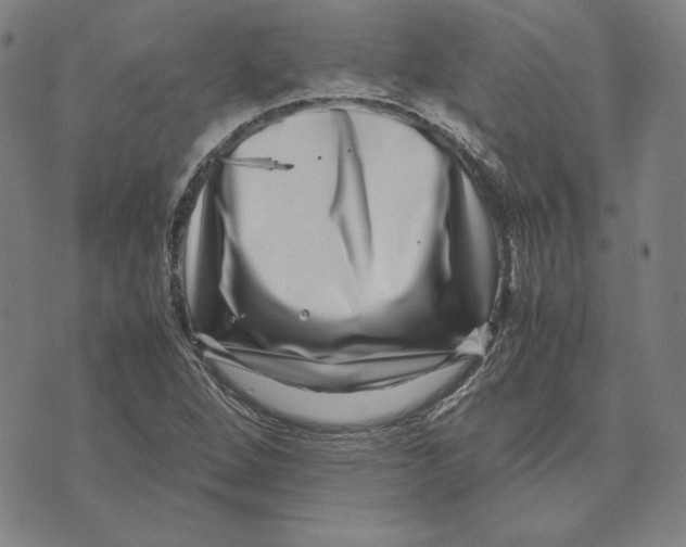 X0000071811264200607211703