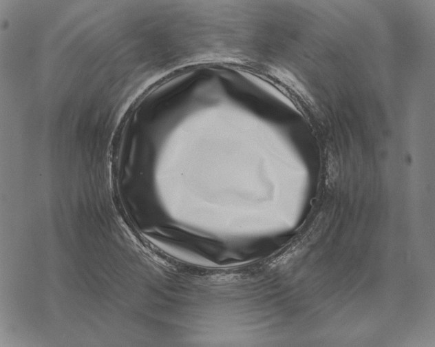 X0000071811268200607211703