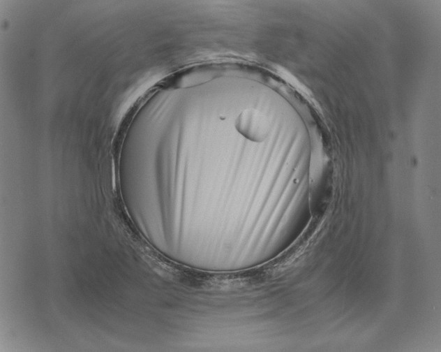 X0000071811269200607211703