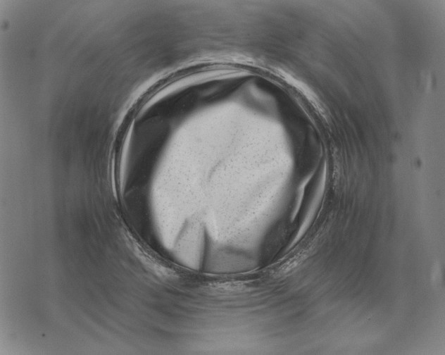X0000071811272200607211703