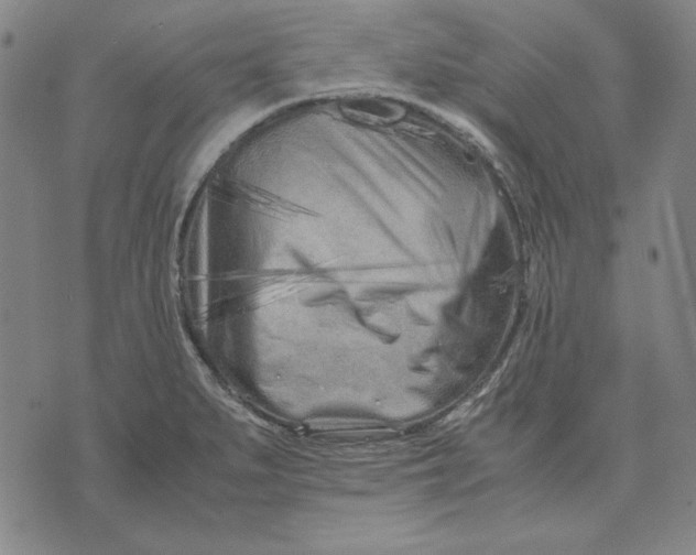 X0000071811279200607211703