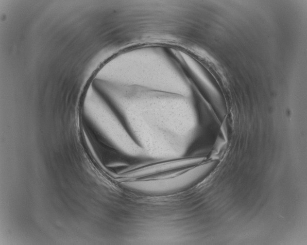 X0000071811280200607211703