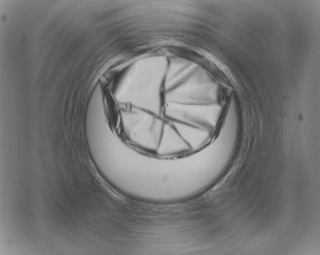 X0000071811281200607211702