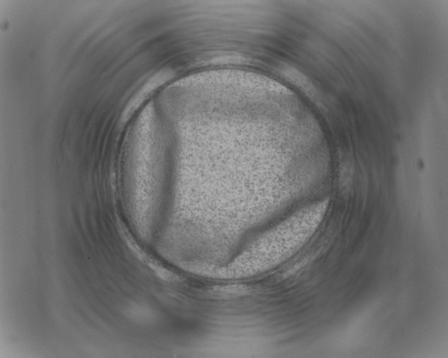 X0000071811282200607211702
