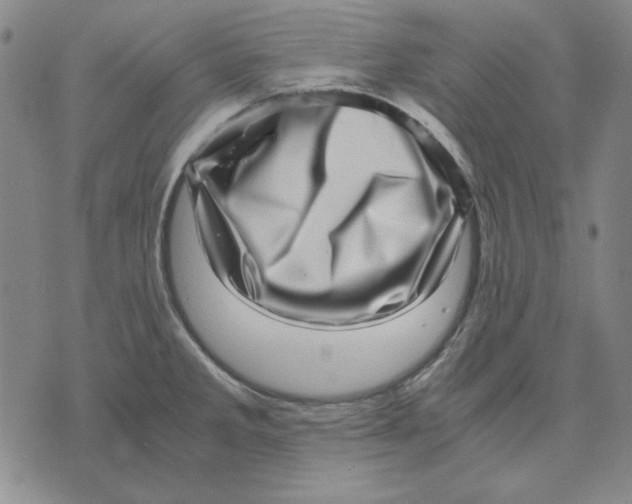 X0000071811285200607211702