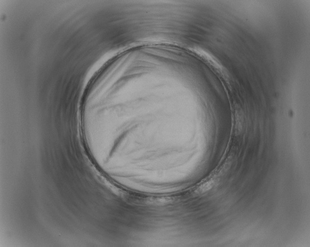 X0000071811286200607211702