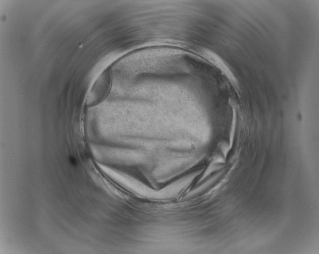X0000071811292200607211702