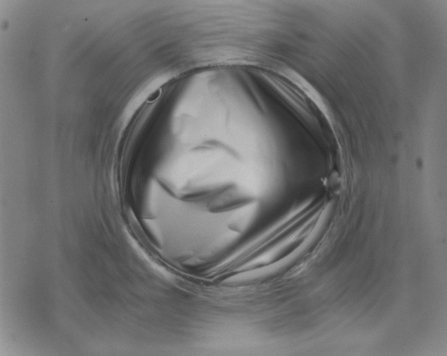 X0000071811293200607211702