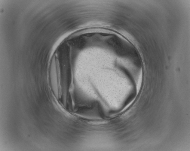 X0000071811296200607211702